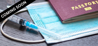 Passport and mask with a vaccination syringe on a table 